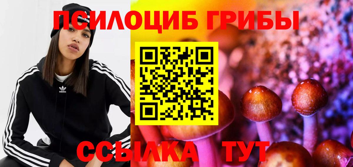 Оренбург  Галлюциногенные грибы Psilocybe  Псилоцибиновые грибы Psilocybe  магазин продажи наркотиков  Вход с VPN 
